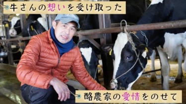 【株式会社糸島みるくぷらんと】牛さんの想いを受け取った酪農家の愛情をのせて。